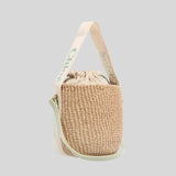 CHLOE Small Woody Basket In Natural Fibers Light Eucalyptus CHC23AS381L1838A