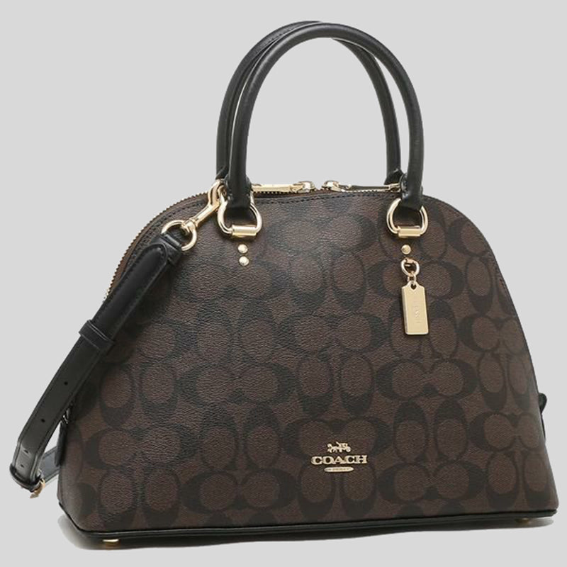 Coach sierra satchel in signature 2025